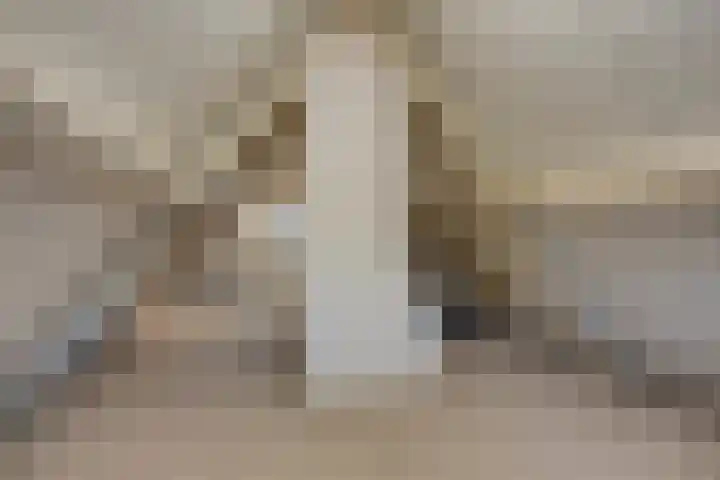Schelp 6 IJsselmuiden thumbnail 52
