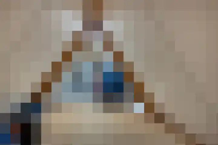 Schelp 6 IJsselmuiden thumbnail 54