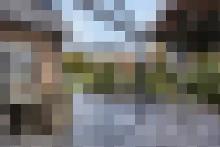 Schelp 6 IJsselmuiden thumbnail 57