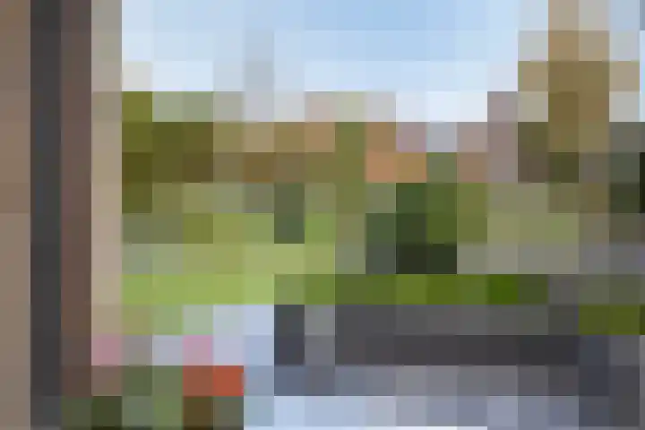Schelp 6 IJsselmuiden thumbnail 58