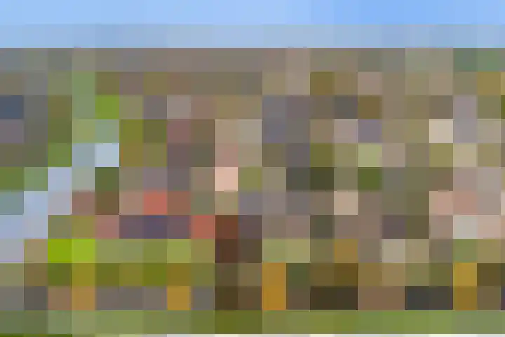 Schelp 6 IJsselmuiden thumbnail 6