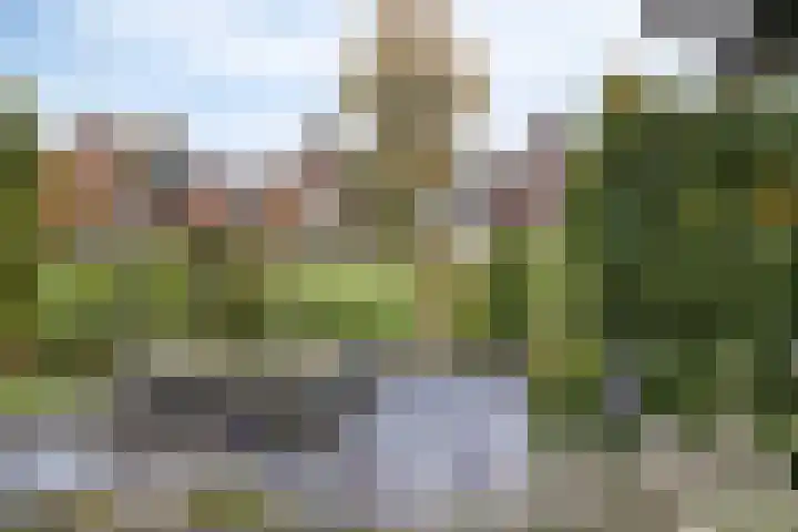 Schelp 6 IJsselmuiden thumbnail 60