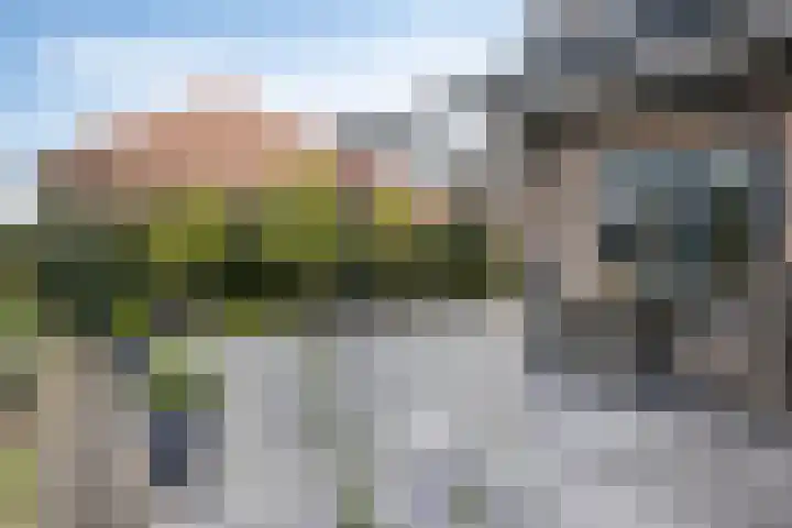 Schelp 6 IJsselmuiden thumbnail 61