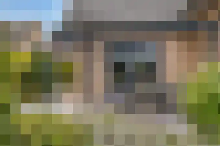 Schelp 6 IJsselmuiden thumbnail 62