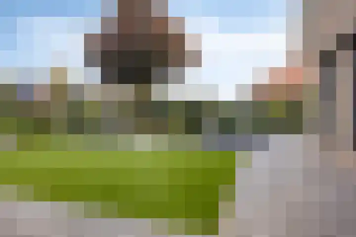 Schelp 6 IJsselmuiden thumbnail 64