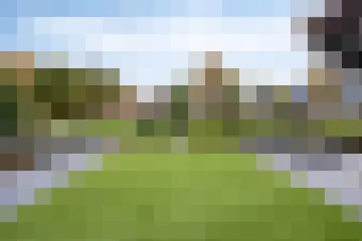Schelp 6 IJsselmuiden thumbnail 65