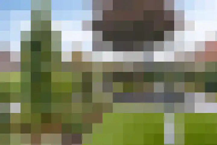 Schelp 6 IJsselmuiden thumbnail 66