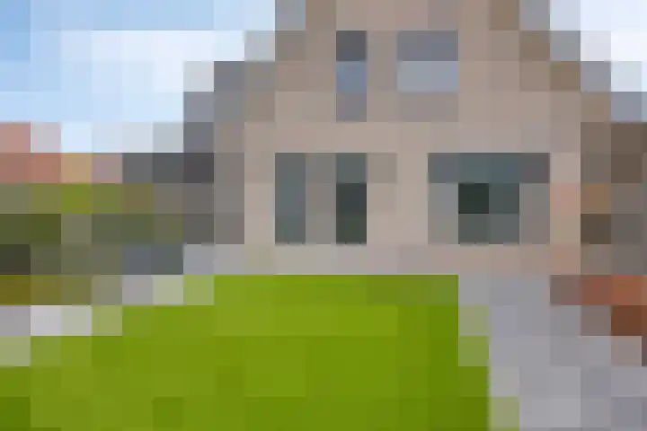 Schelp 6 IJsselmuiden thumbnail 67