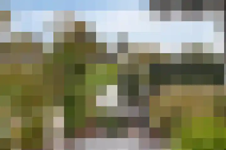 Schelp 6 IJsselmuiden thumbnail 68
