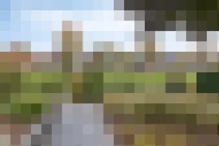 Schelp 6 IJsselmuiden thumbnail 69