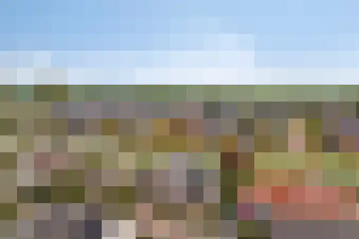 Schelp 6 IJsselmuiden thumbnail 7
