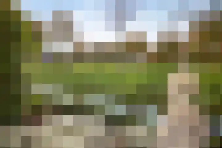 Schelp 6 IJsselmuiden thumbnail 70