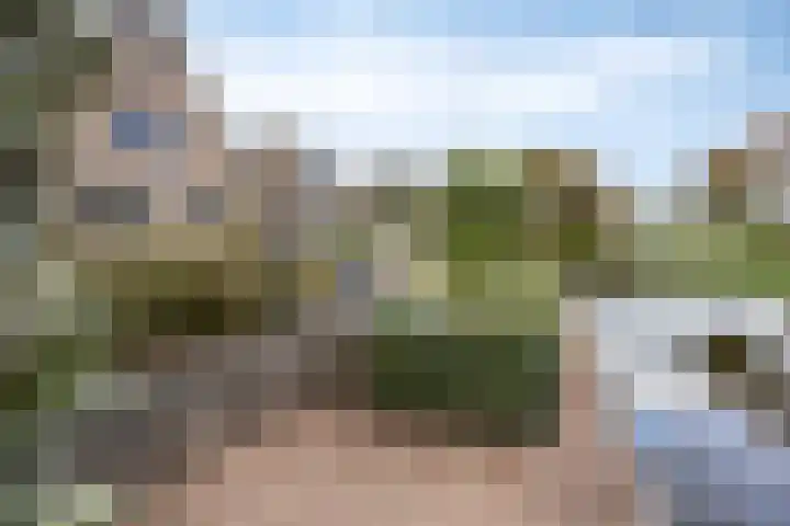 Schelp 6 IJsselmuiden thumbnail 71