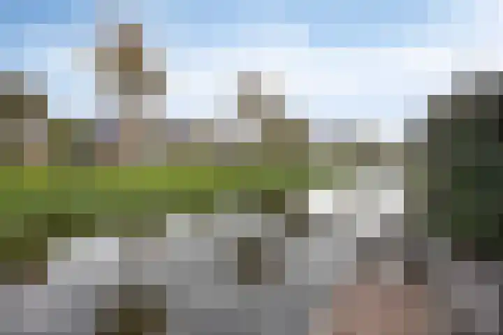 Schelp 6 IJsselmuiden thumbnail 72