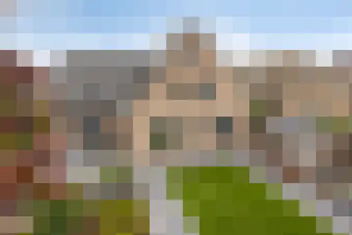 Schelp 6 IJsselmuiden thumbnail 74