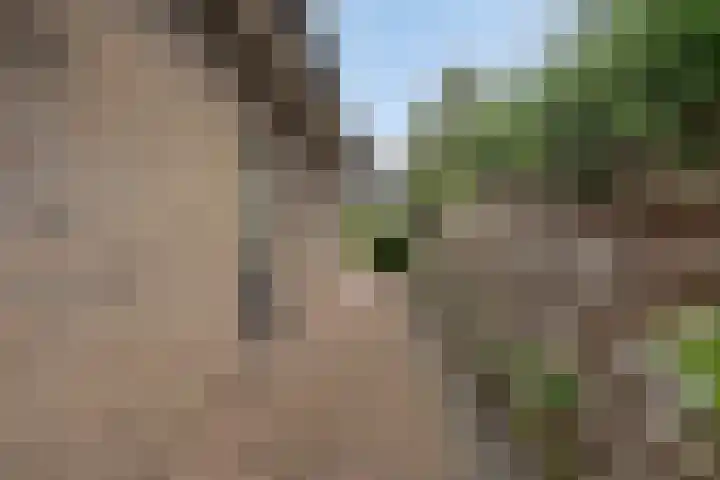 Schelp 6 IJsselmuiden thumbnail 76