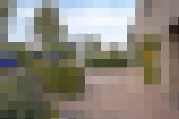 Schelp 6 IJsselmuiden thumbnail 78