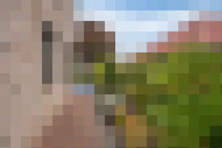 Schelp 6 IJsselmuiden thumbnail 79