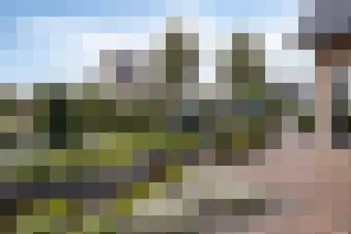 Schelp 6 IJsselmuiden thumbnail 81