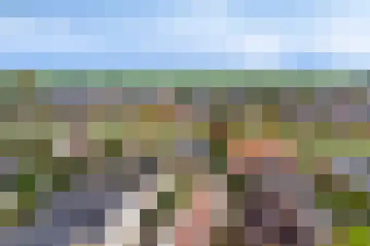 Schelp 6 IJsselmuiden thumbnail 83