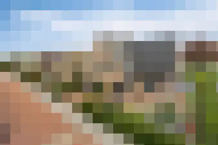 Schelp 6 IJsselmuiden thumbnail 9