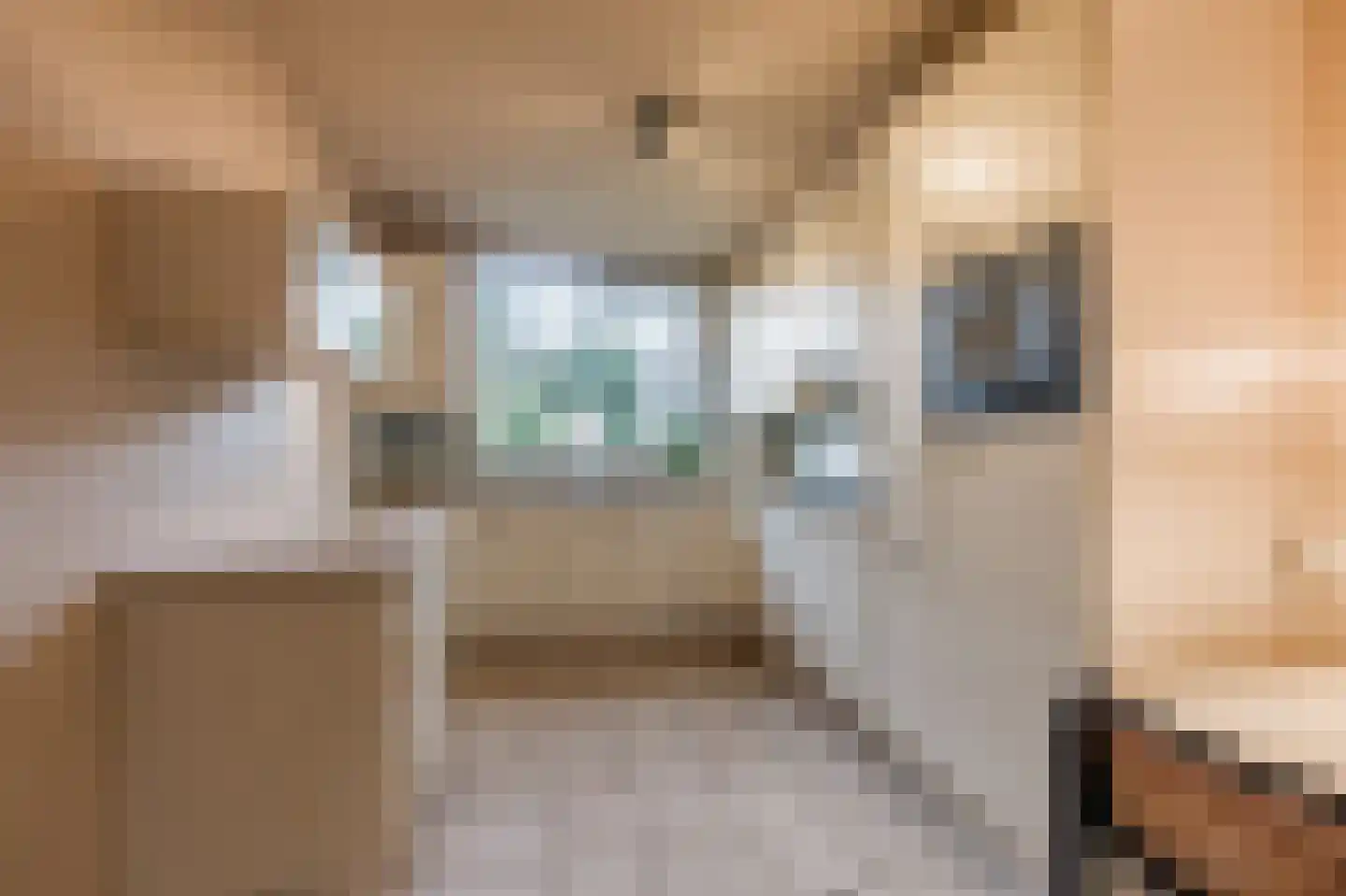 Schelp 7 Katwijk thumbnail 16