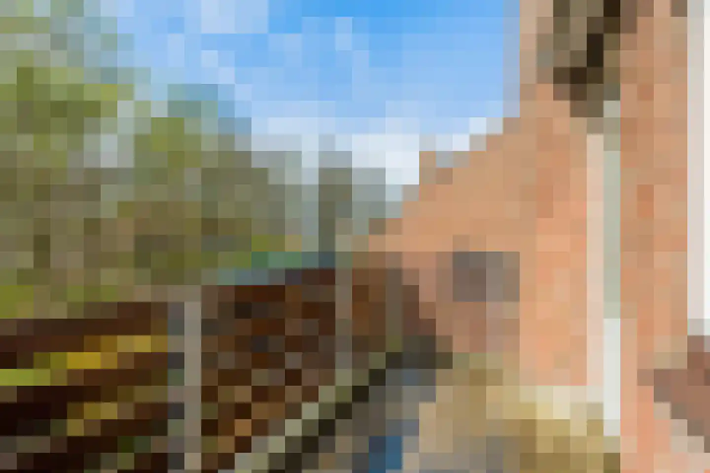 Schelp 7 Katwijk thumbnail 24