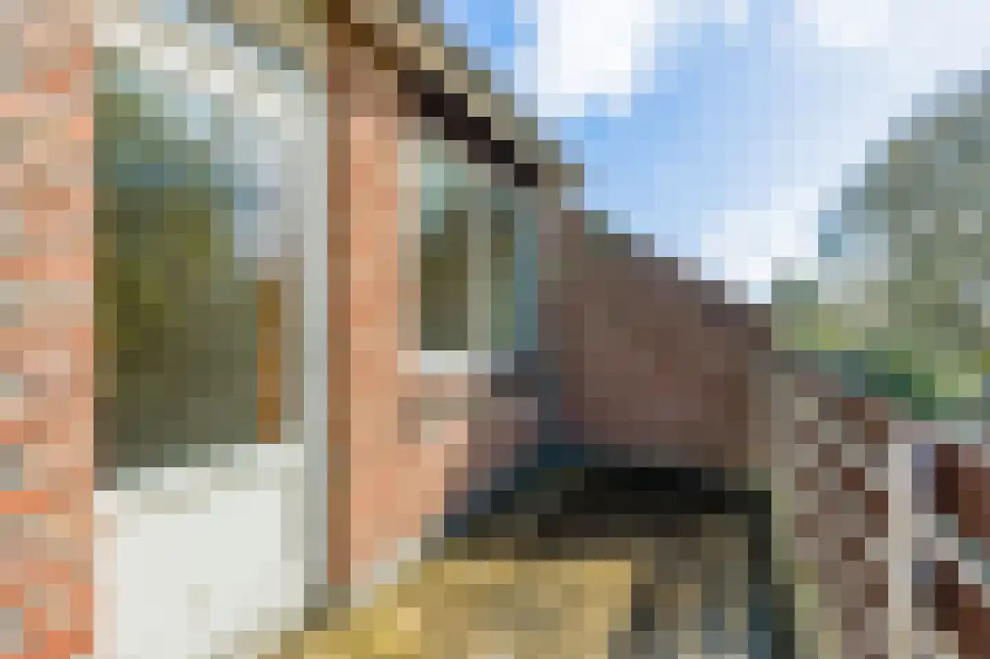 Schelp 7 Katwijk thumbnail 25