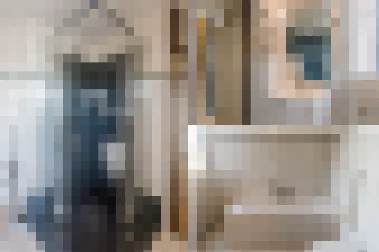 Schelp 7 Katwijk thumbnail 29