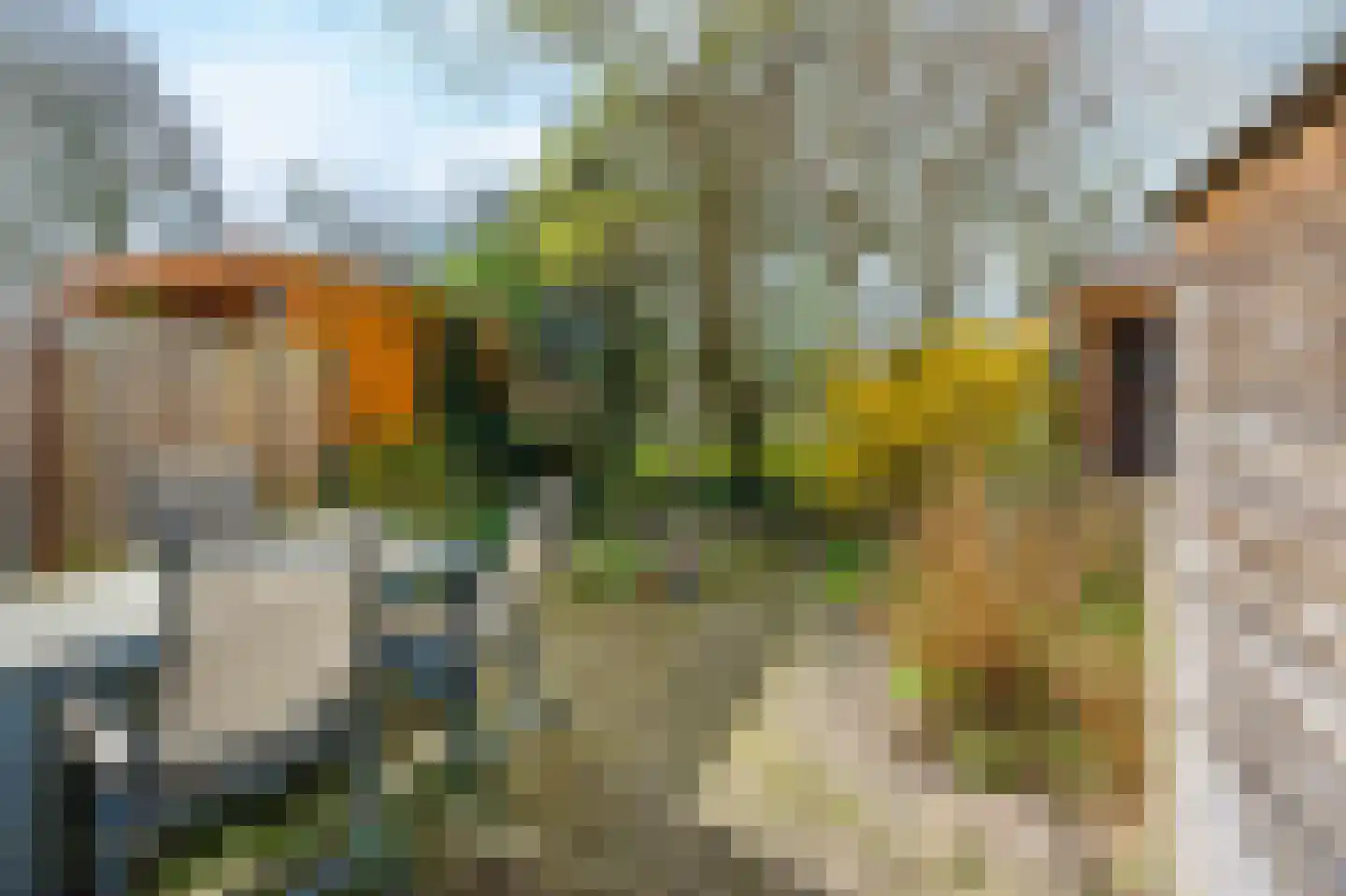 Schelp 7 Katwijk thumbnail 36