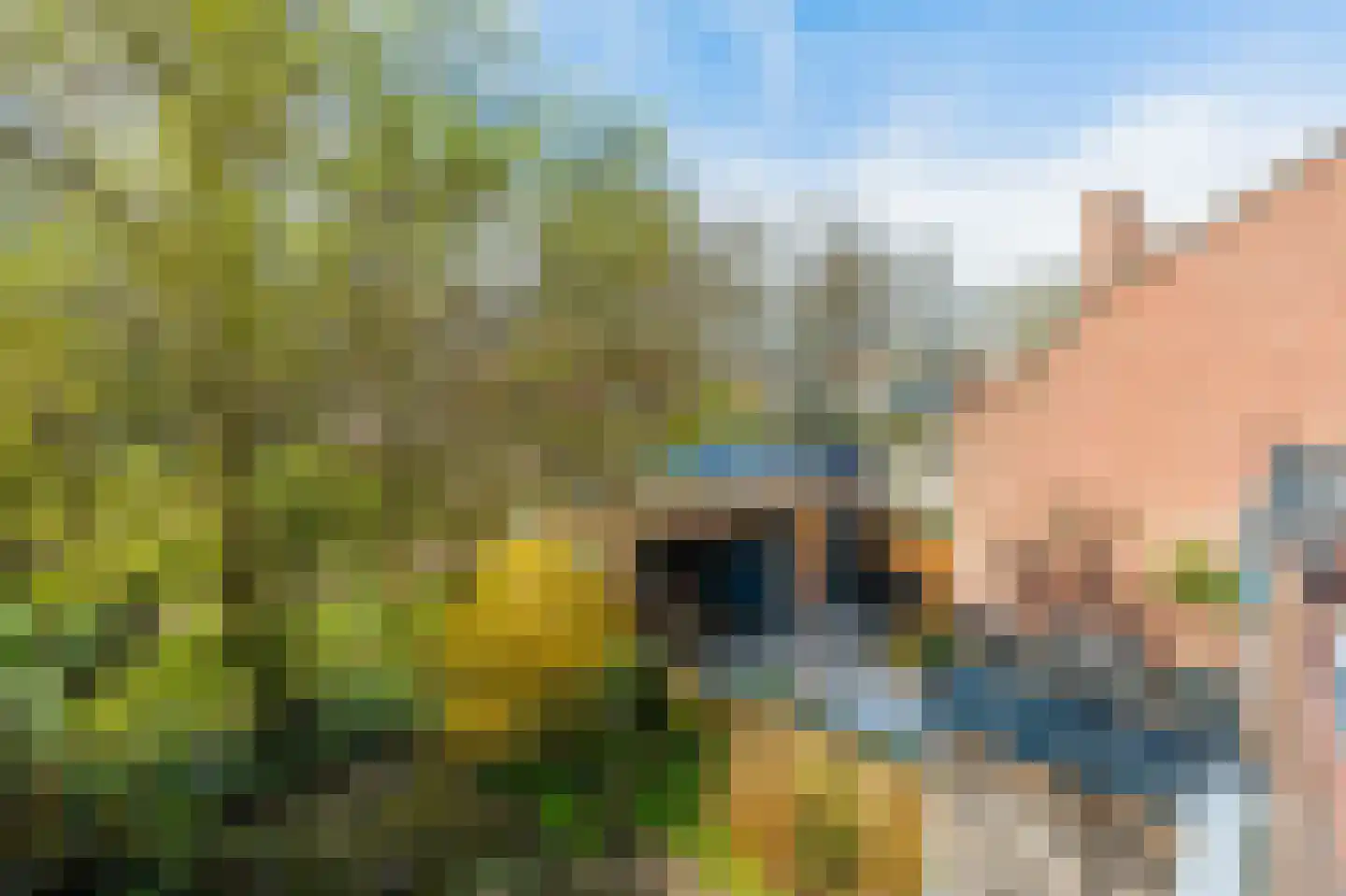 Schelp 7 Katwijk thumbnail 39