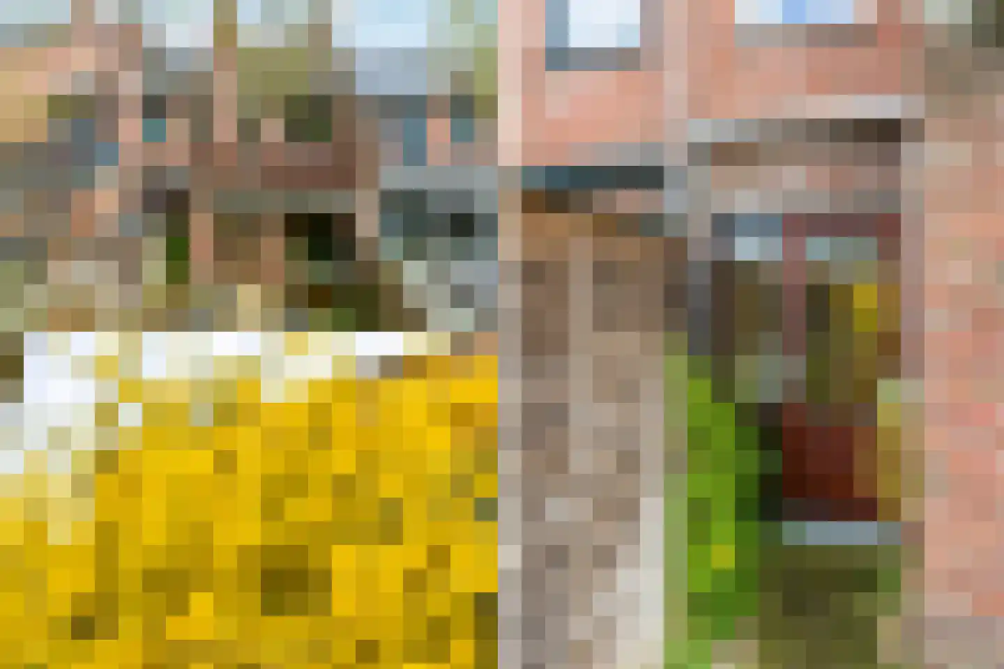 Schelp 7 Katwijk thumbnail 40