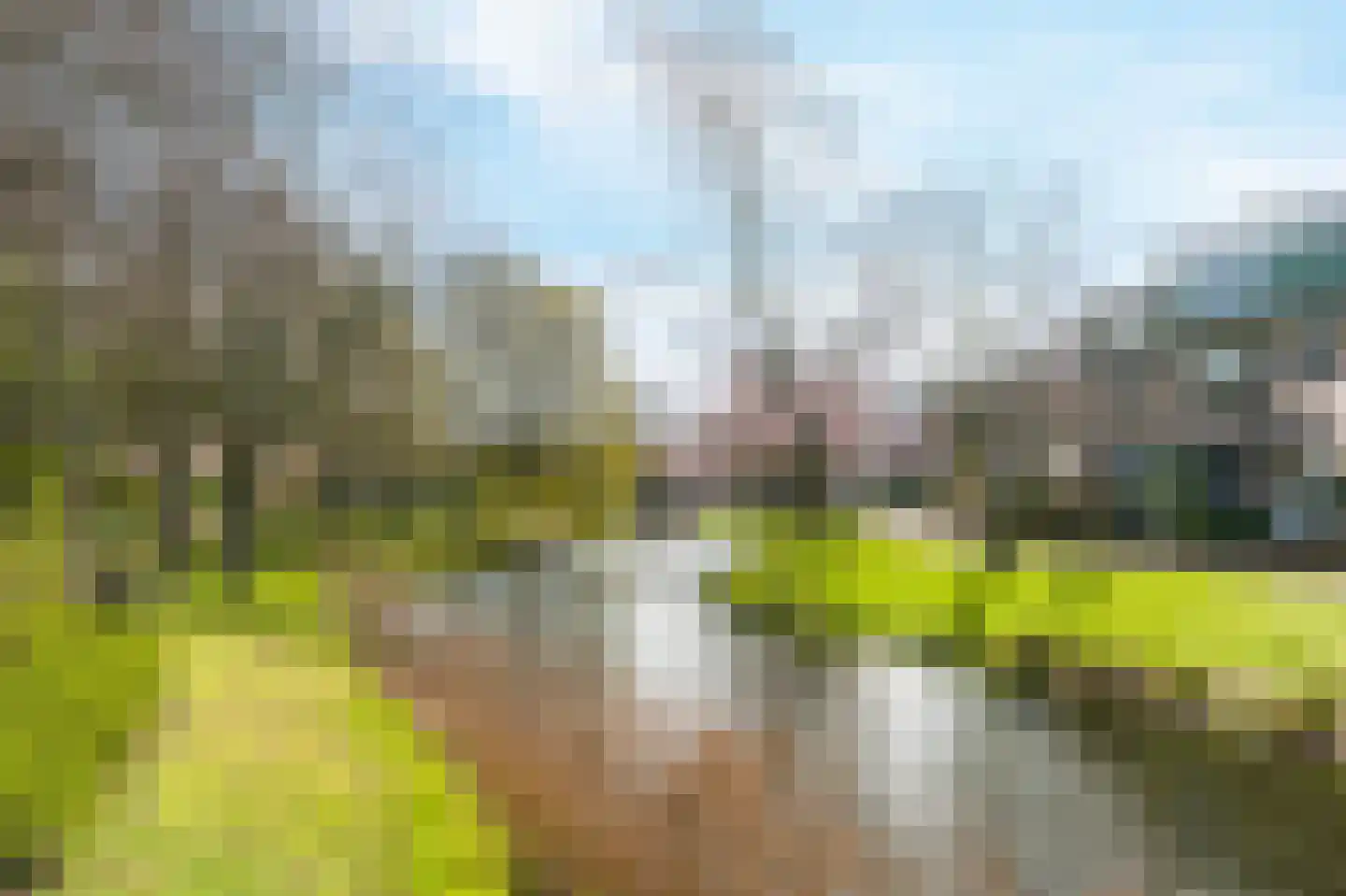 Schelp 7 Katwijk thumbnail 45