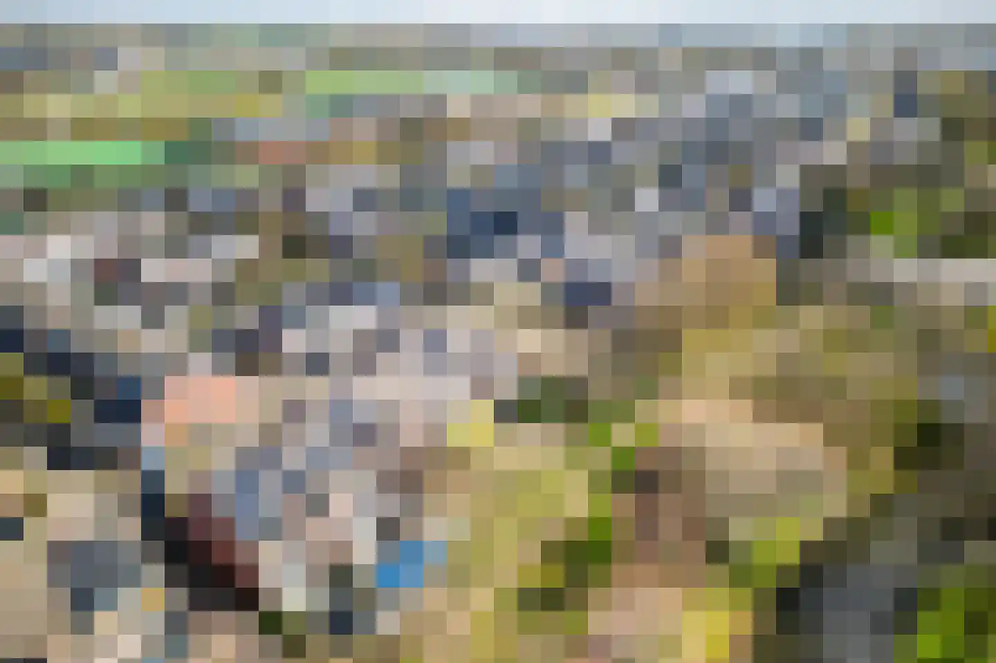 Schelp 7 Katwijk thumbnail 49