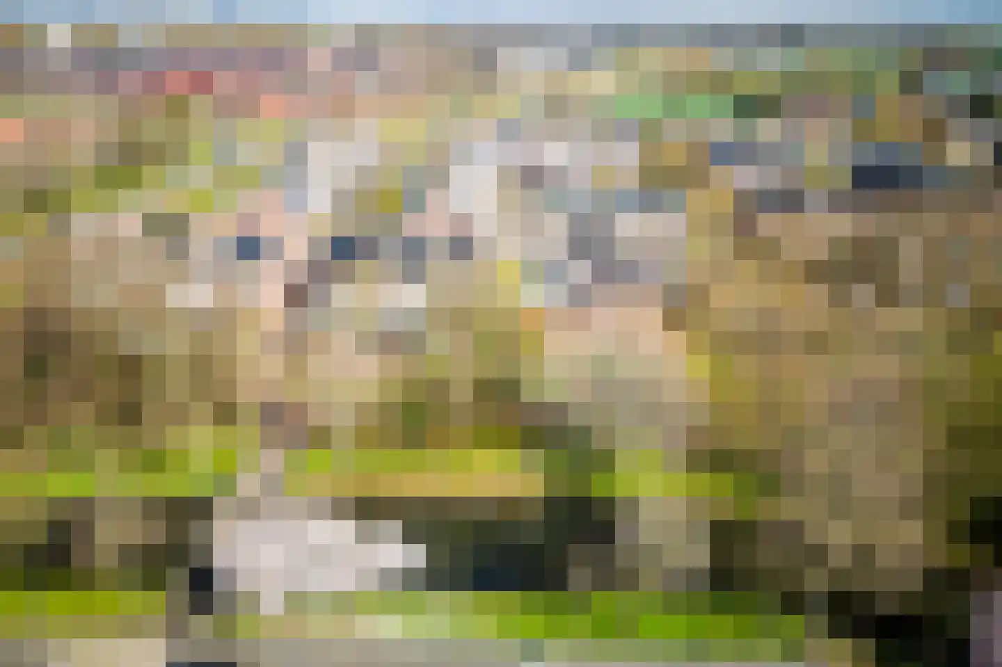 Schelp 7 Katwijk thumbnail 50