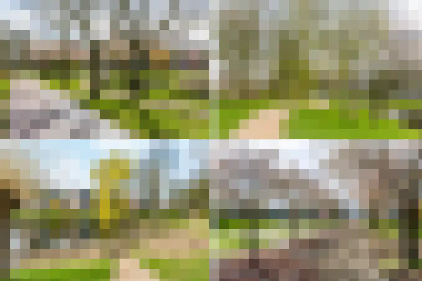 Schelp 7 Katwijk thumbnail 51