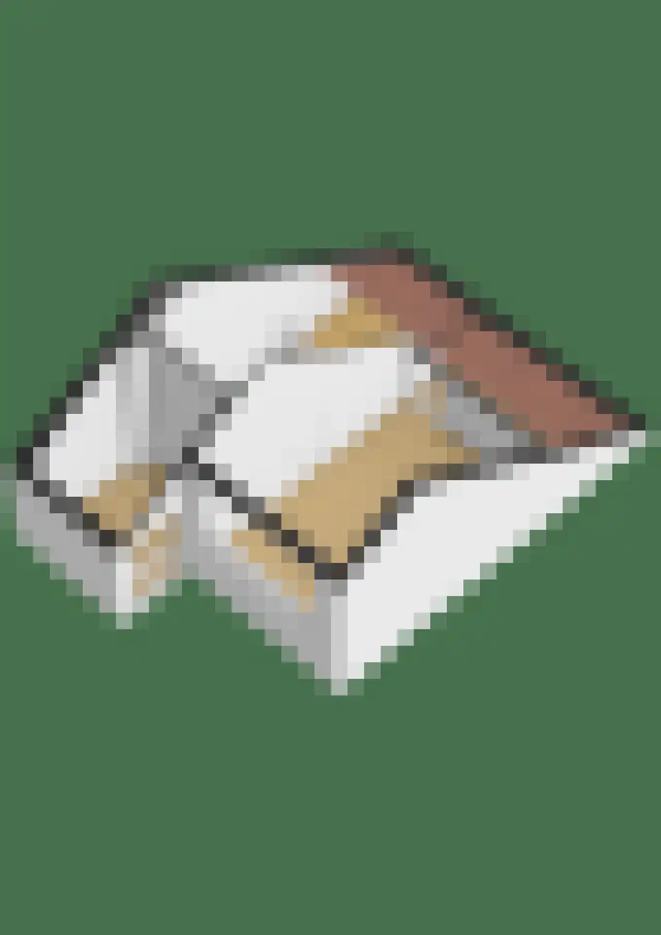 Schelp 7 Katwijk thumbnail 58
