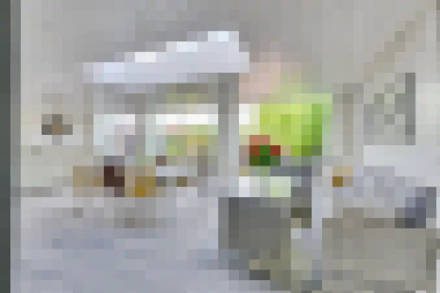 Schelp 7 Noord-Scharwoude thumbnail 11