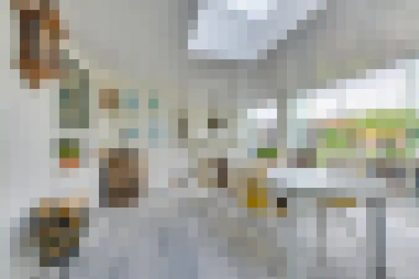 Schelp 7 Noord-Scharwoude thumbnail 12