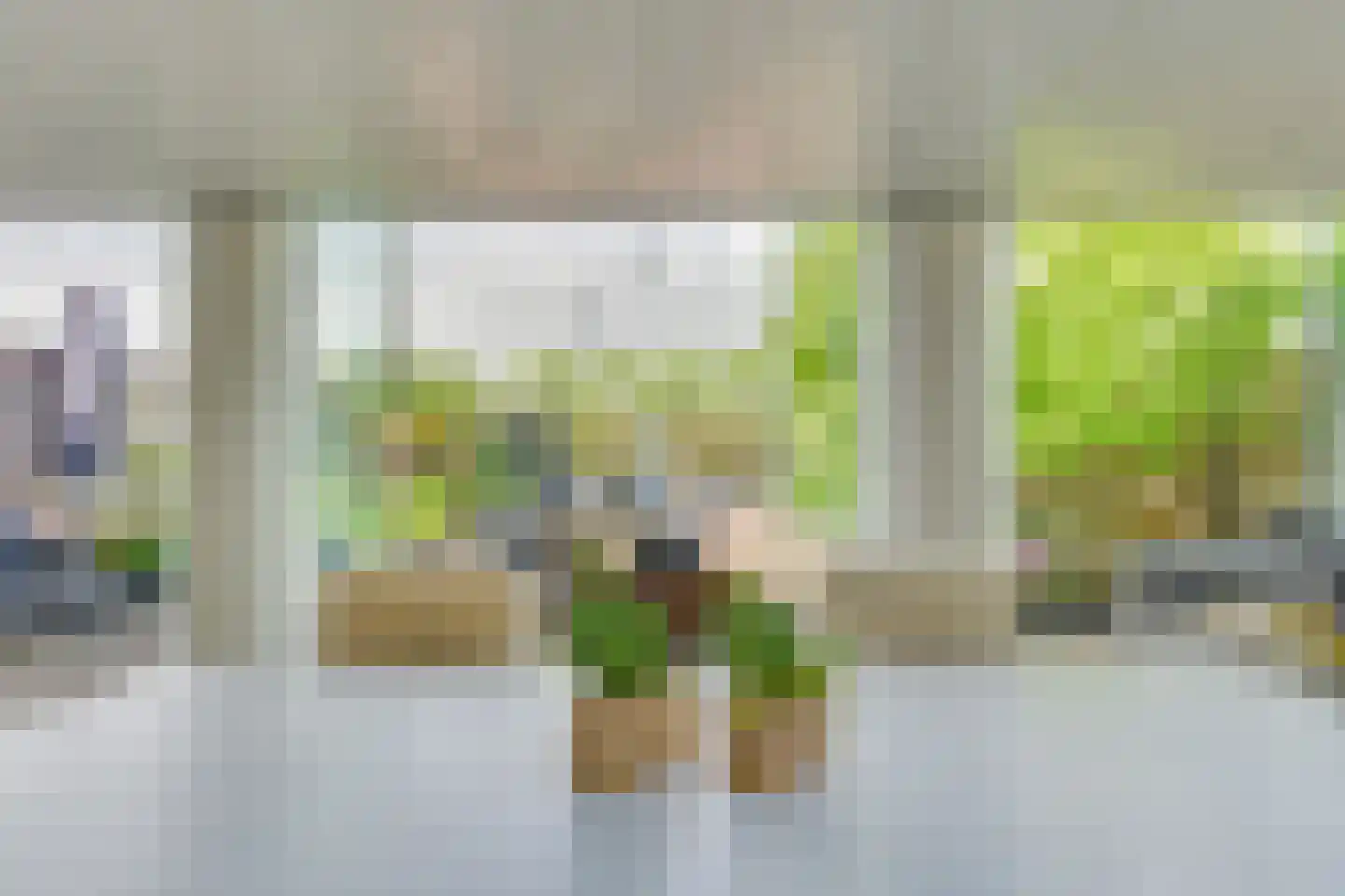 Schelp 7 Noord-Scharwoude thumbnail 13