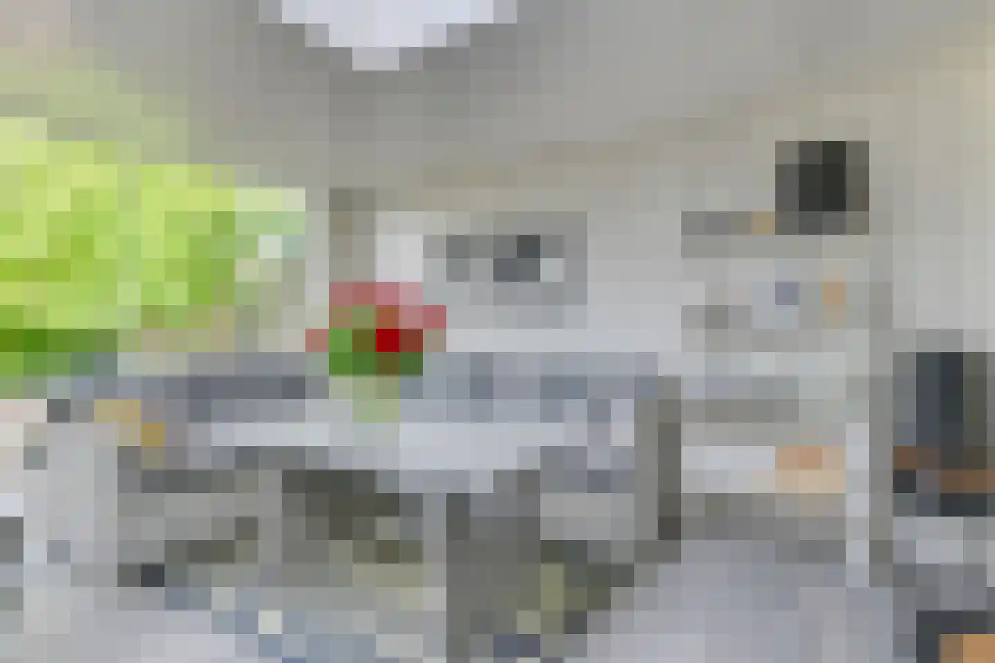 Schelp 7 Noord-Scharwoude thumbnail 17