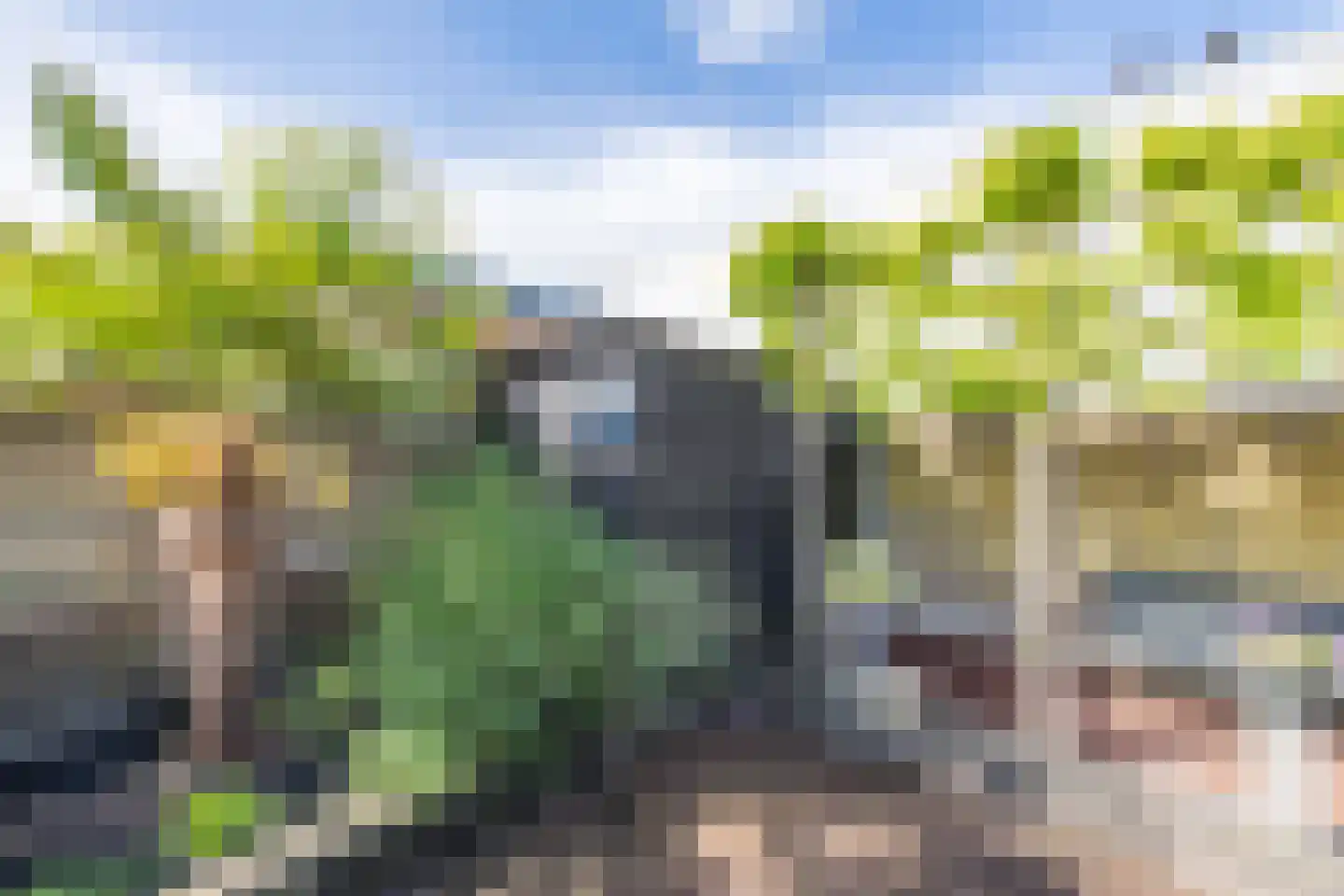 Schelp 7 Noord-Scharwoude thumbnail 44