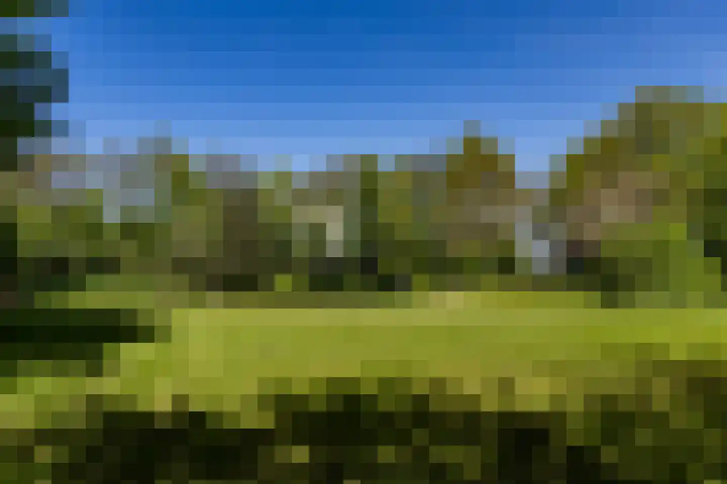 Schelpenbolweg 22 Slootdorp thumbnail 26