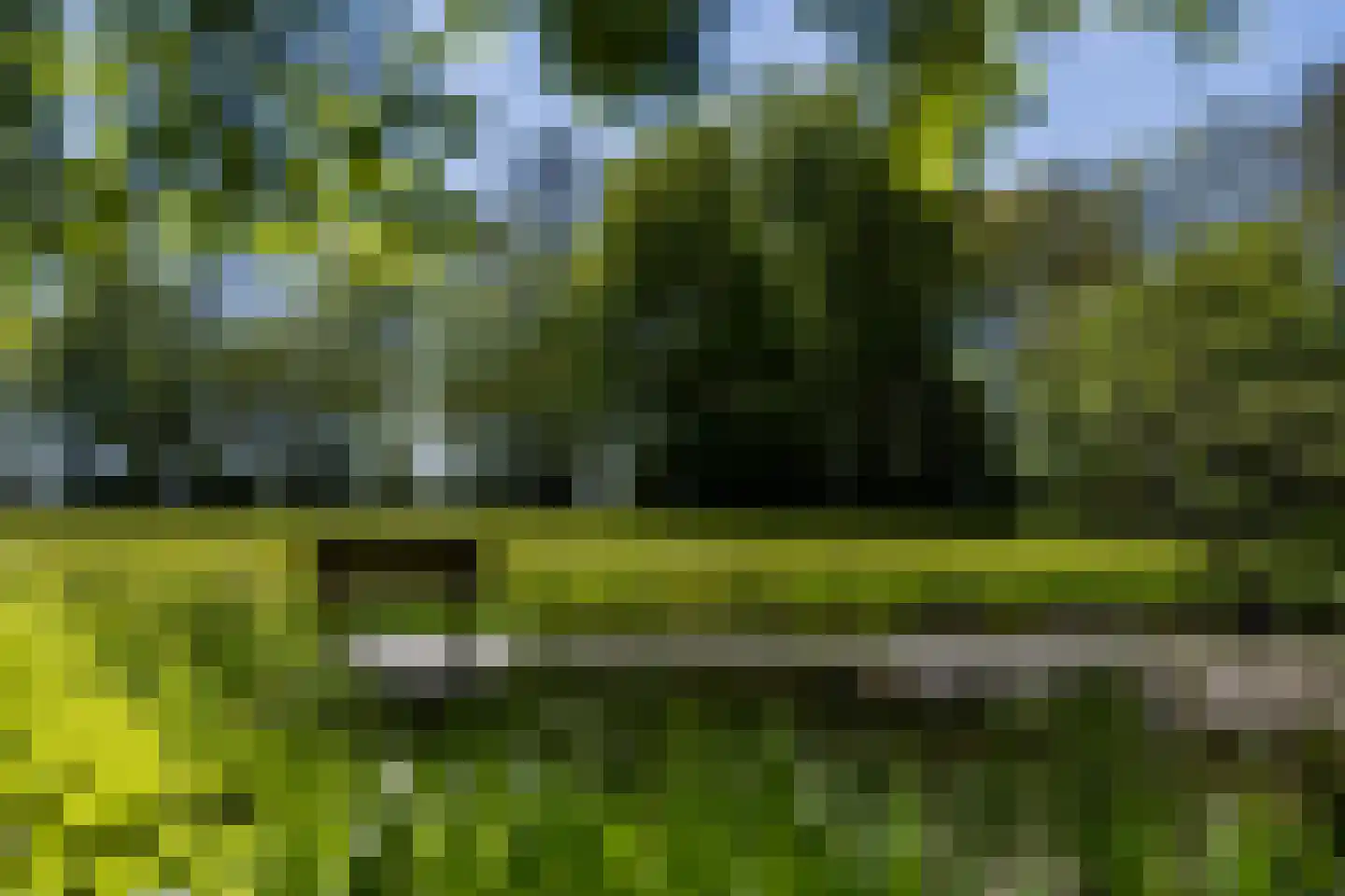 Schelpenbolweg 22 Slootdorp thumbnail 27