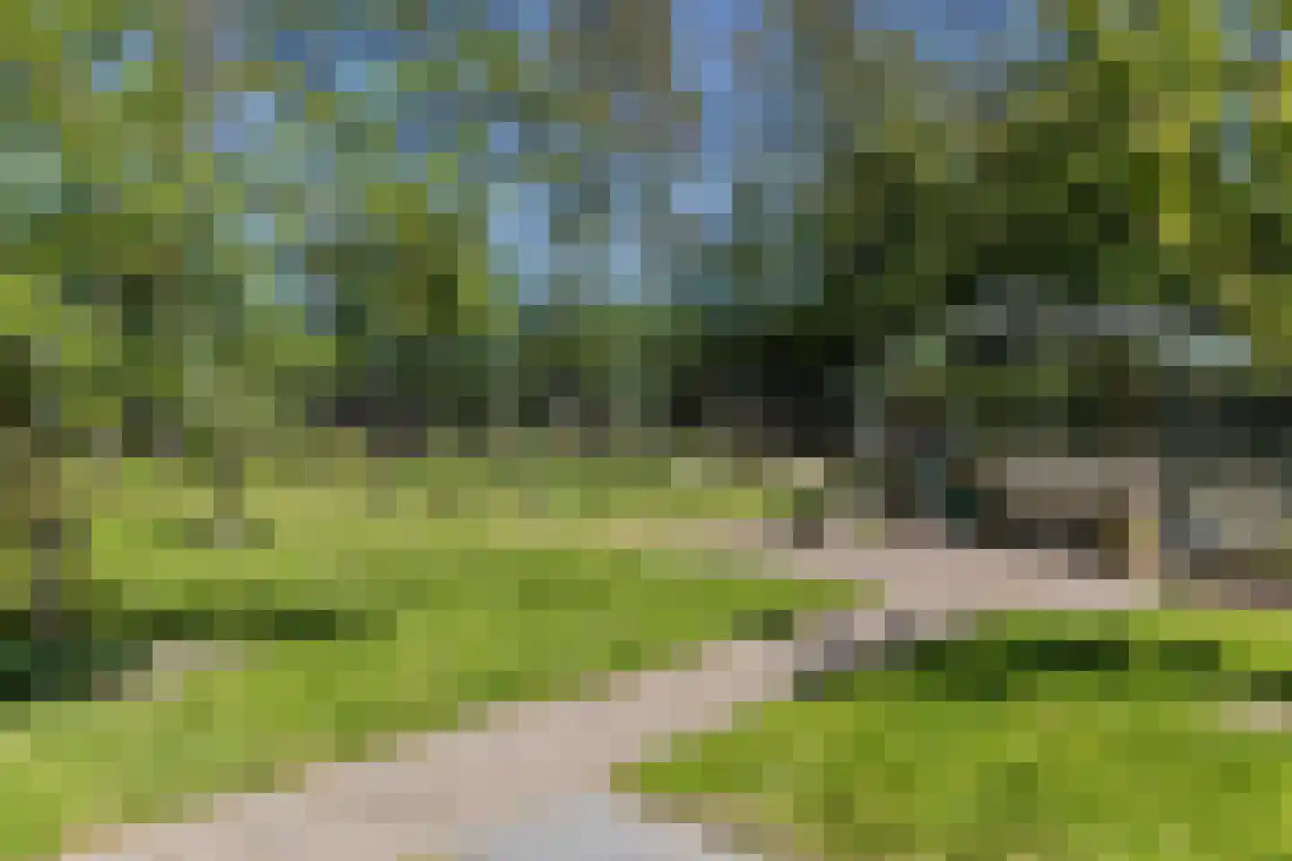 Schelpenbolweg 22 Slootdorp thumbnail 32
