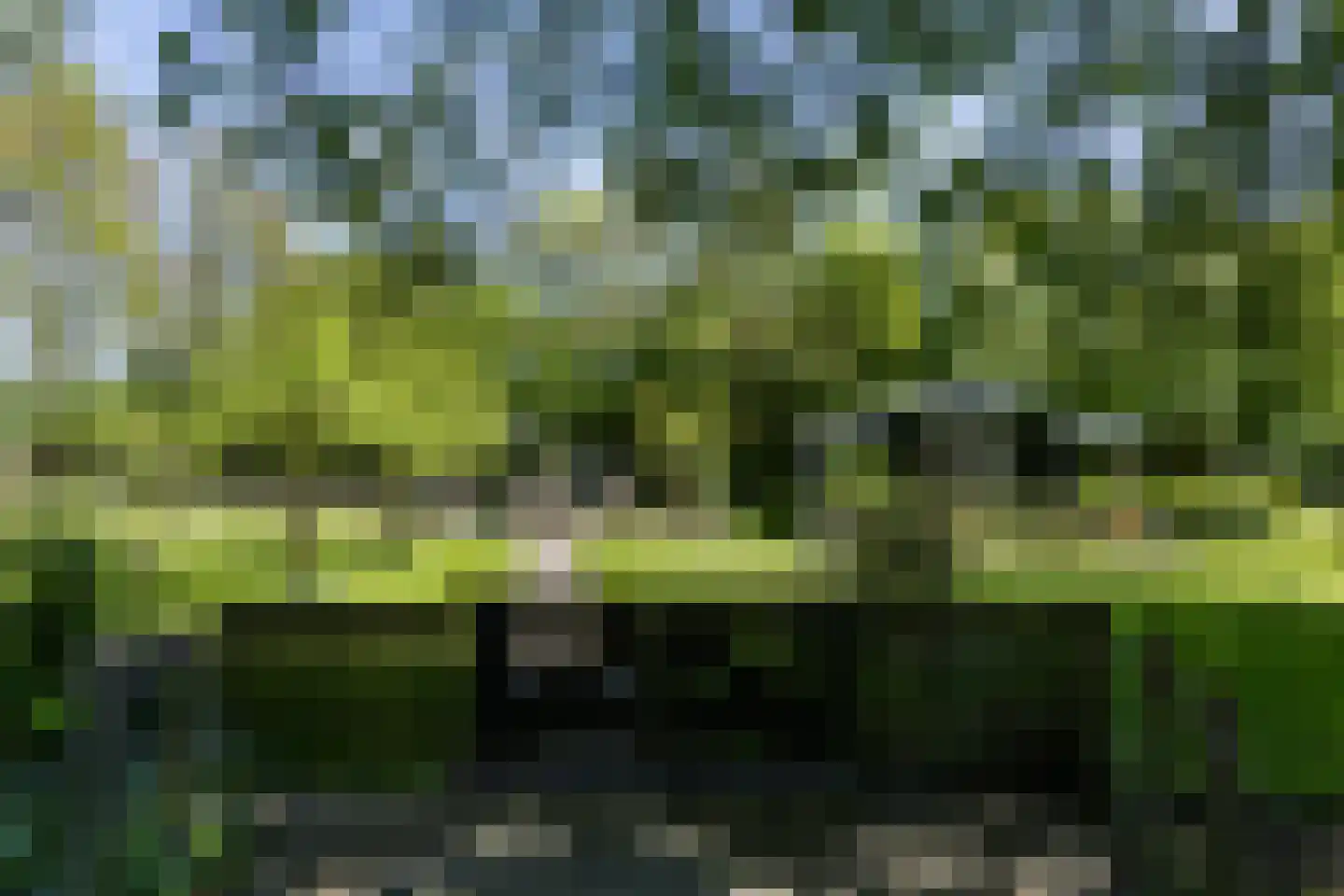 Schelpenbolweg 22 Slootdorp thumbnail 33