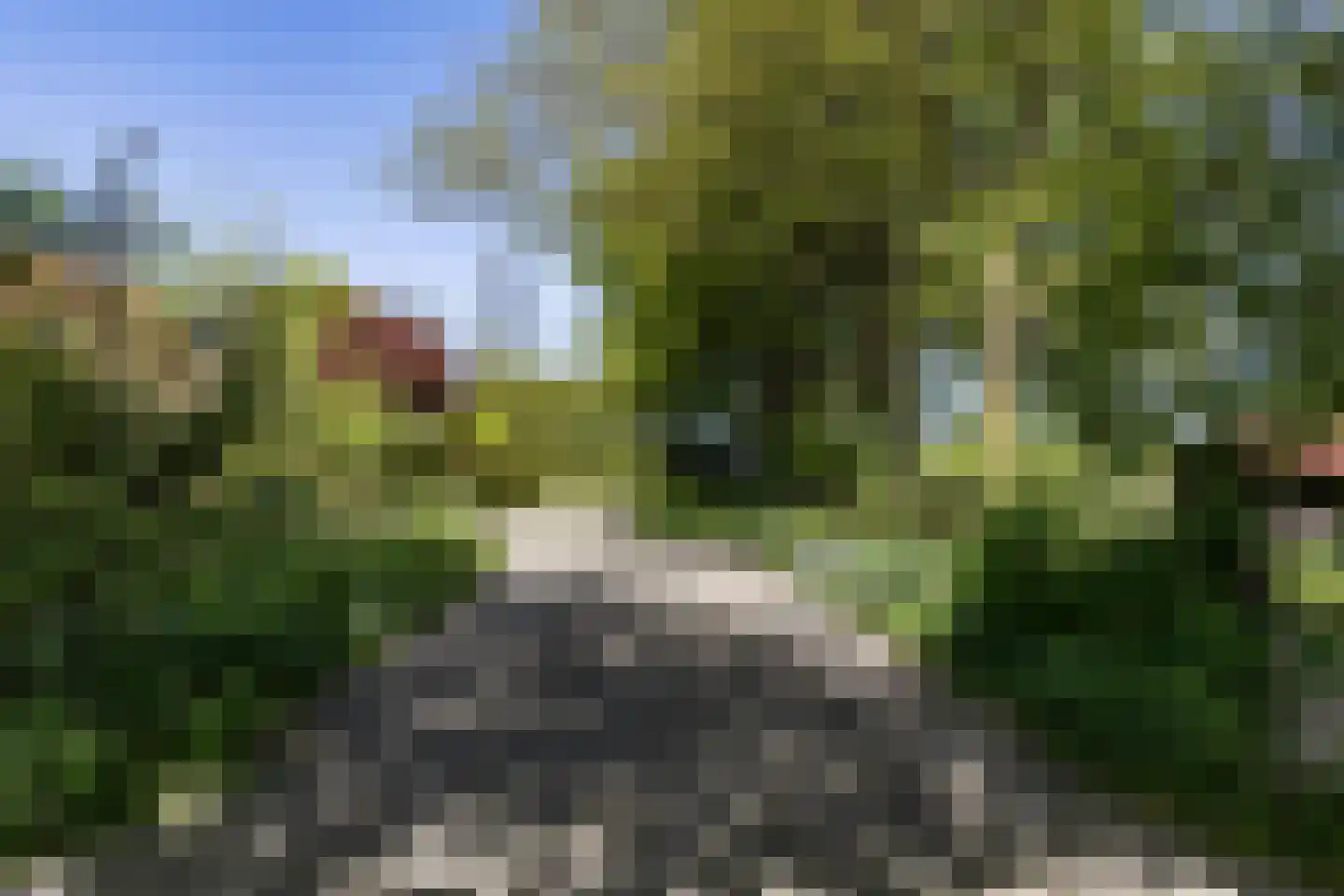 Schelpenbolweg 22 Slootdorp thumbnail 36