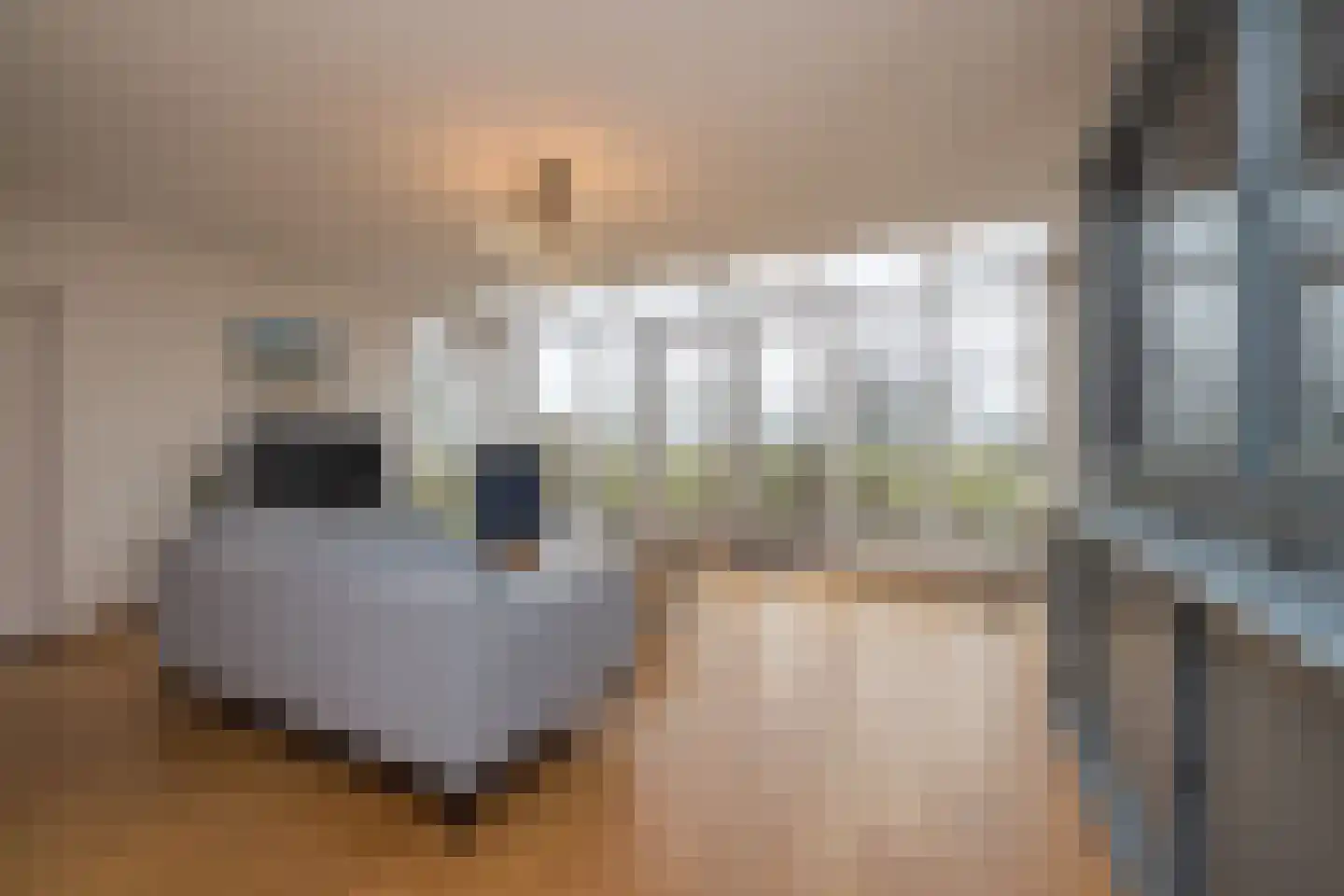 Schelpenhoek 13 Noordwijk thumbnail 10