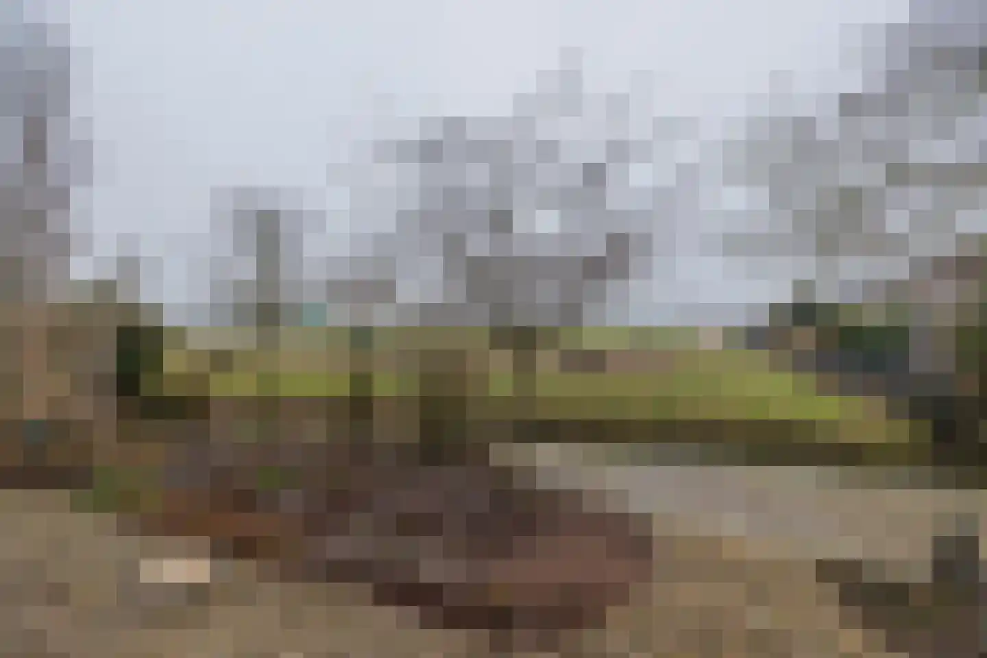 Schelpenhoek 13 Noordwijk thumbnail 15