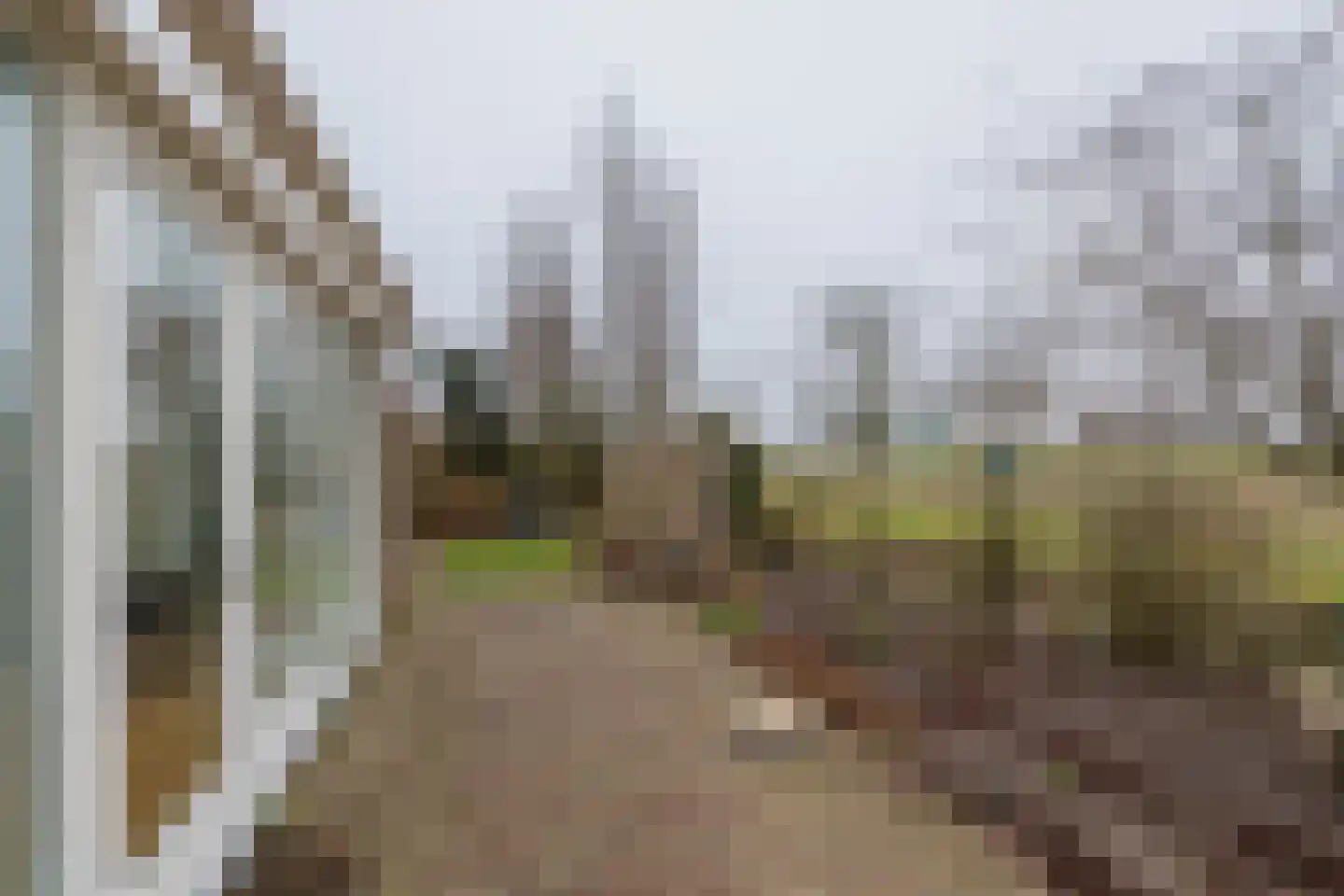 Schelpenhoek 13 Noordwijk thumbnail 16